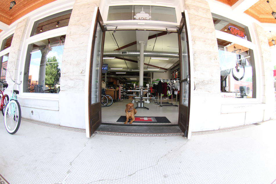 Free download Wallpaper Stores Raleigh Nc Release date Specs Review