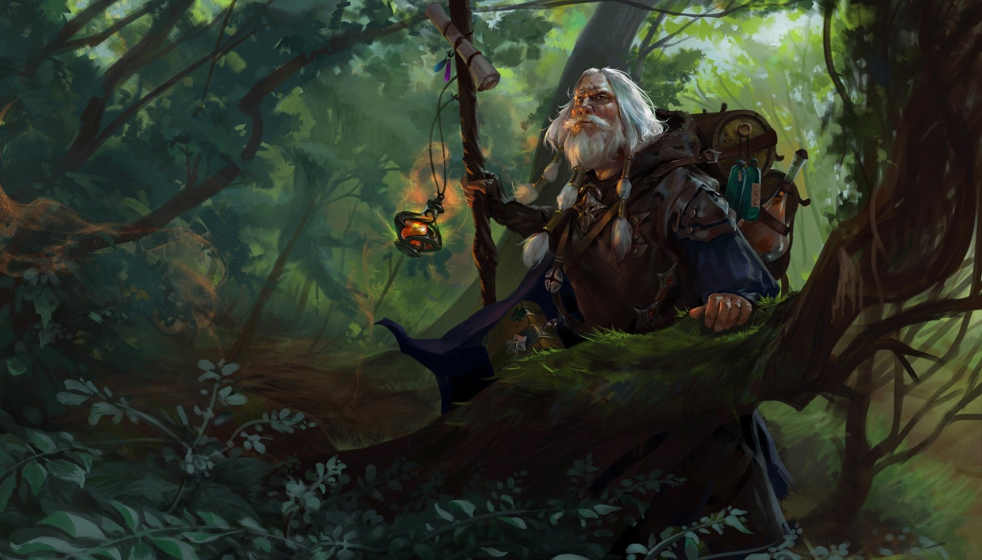 Forest Beard White Hair Fantasy Wizard HD Wallpaper