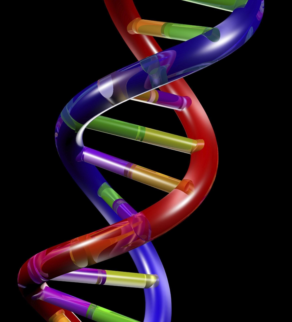 Related Pictures dna double helix model on black background 3d render