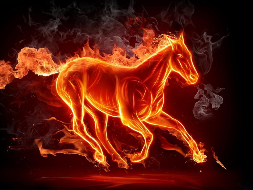 3d Fire Horse HD Wallpaper