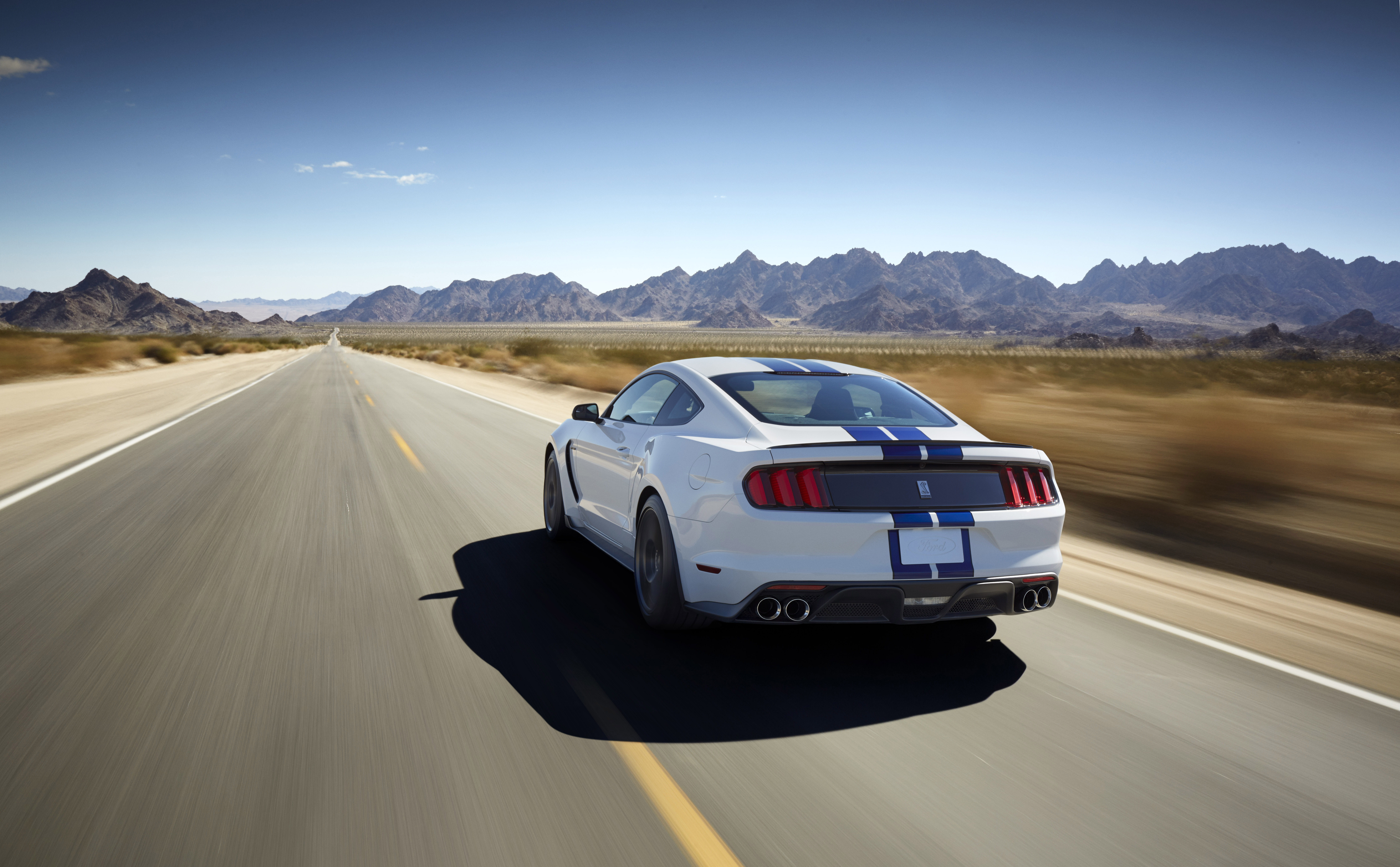 Meet The Mustang Shelby Gt350