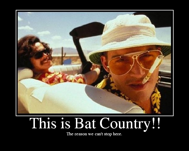 Fear And Loathing In Las Vegas Image This Is Bat Country