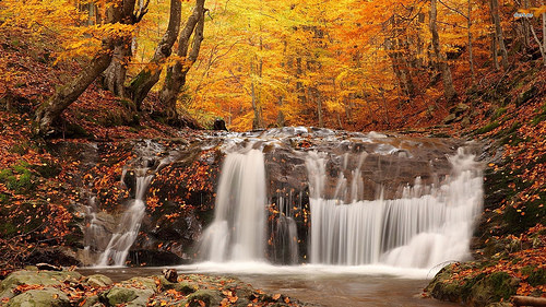 Waterfall In The Fall Woods Most Beautiful Wal