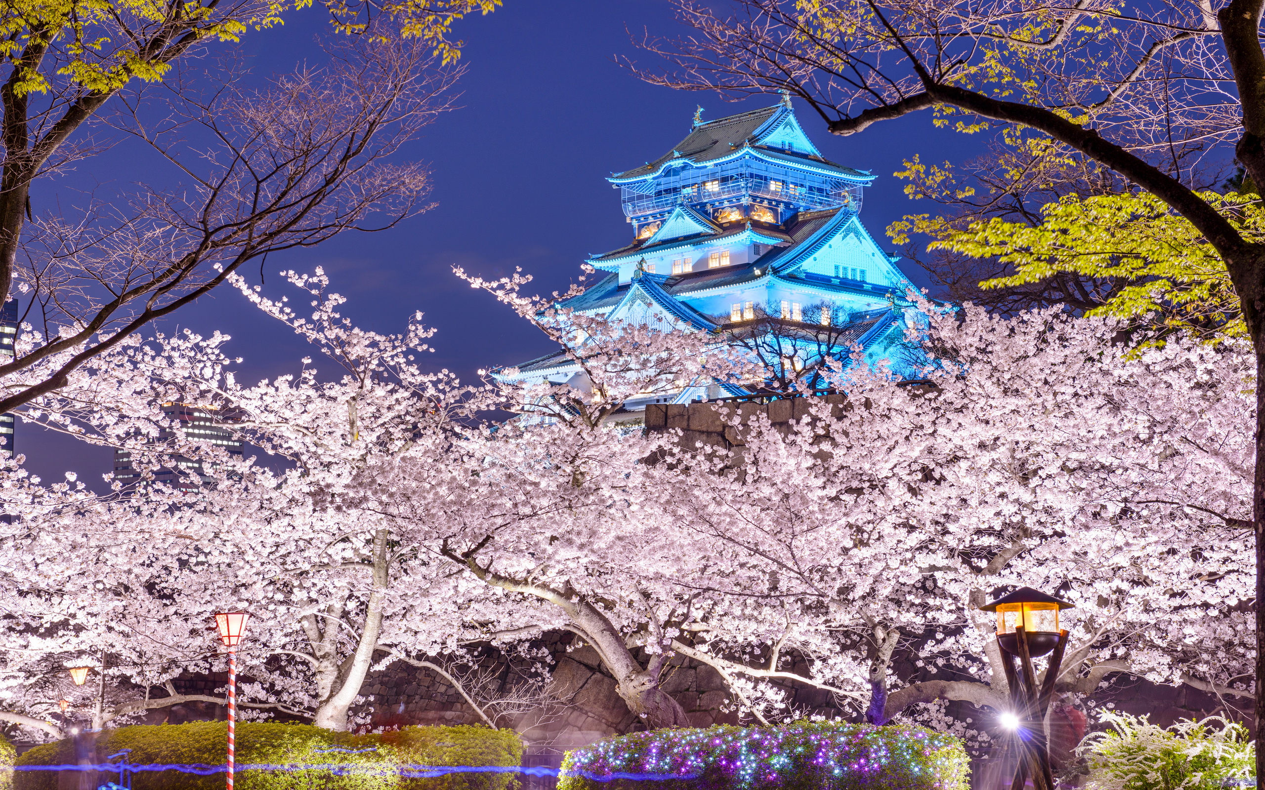 Osaka Castle HD Wallpaper Background Image Id
