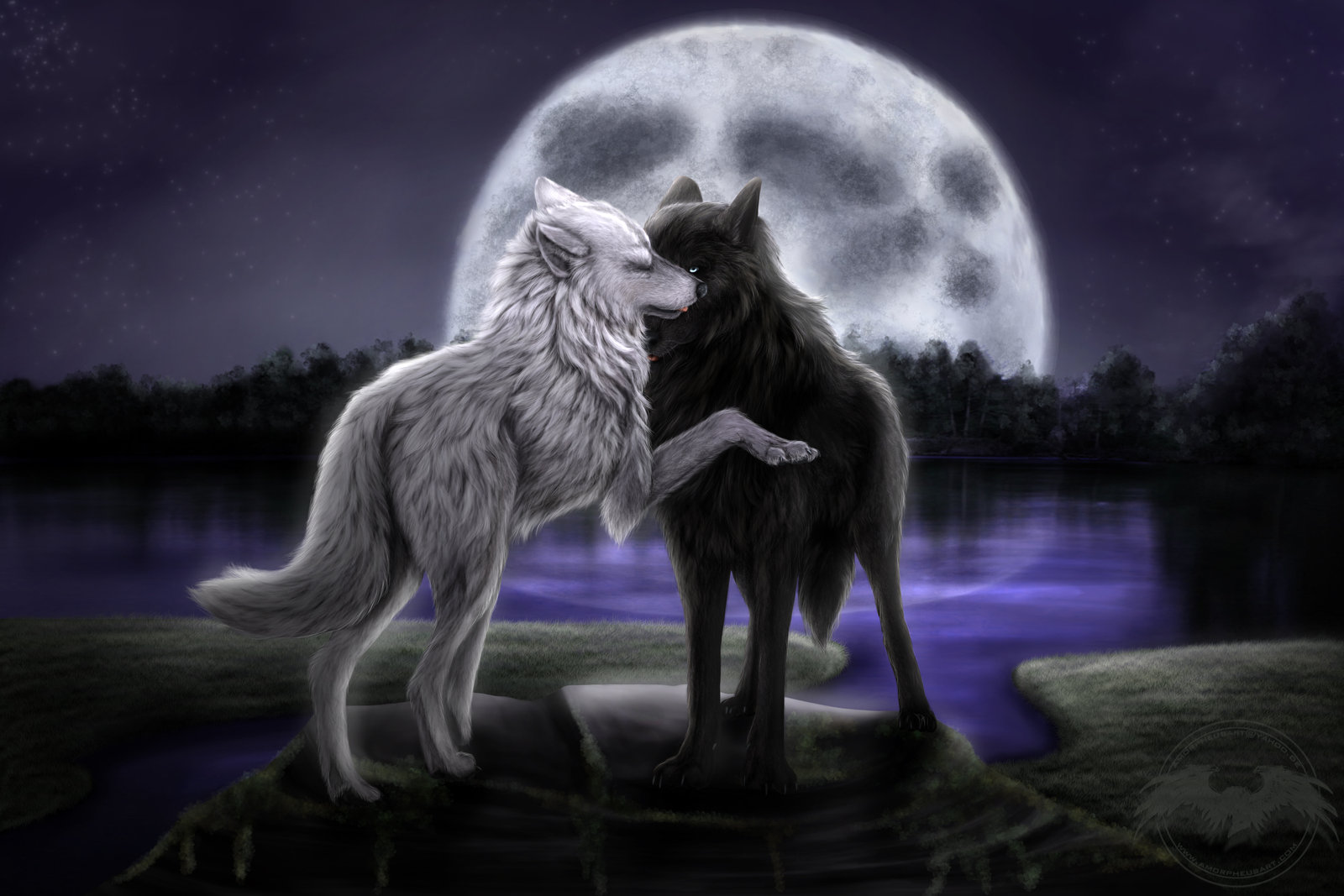 Moonlight Wolf HD Wallpaper Animals