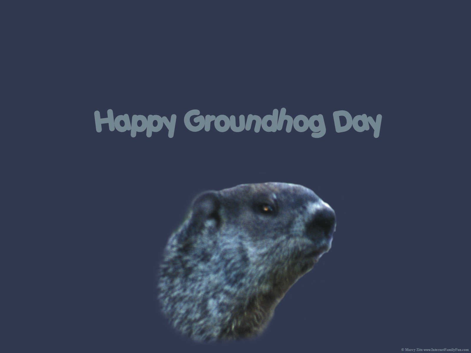 Groundhog Day Wallpaper Background for Desktop with Happy Groundhogs