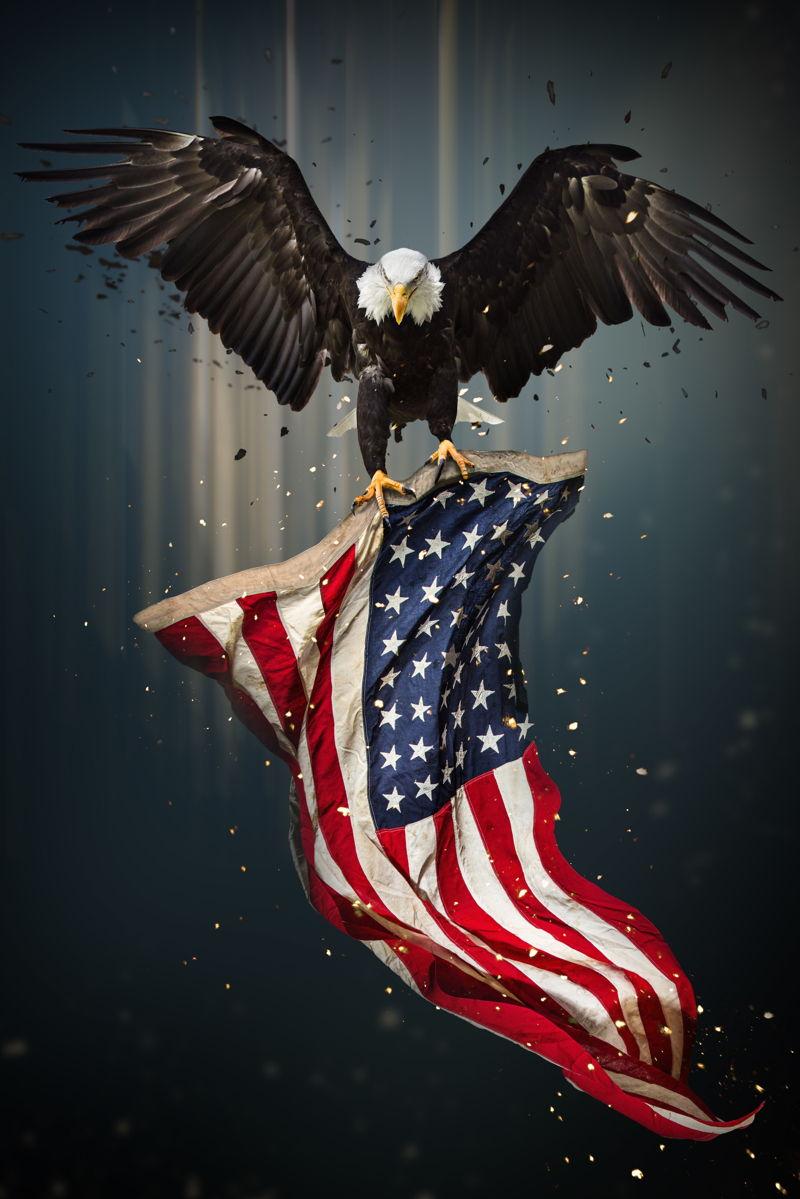 Eagle With Flag Blue Mega Furniture Usa