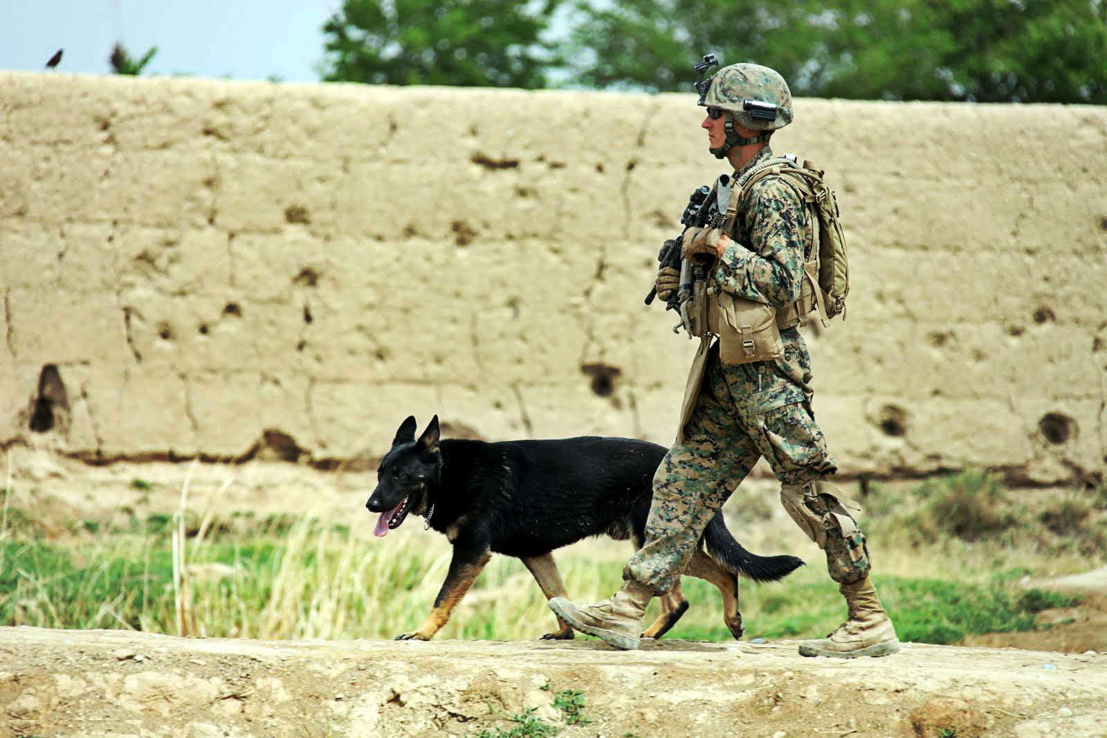 Us Marine Widescreen HD Wallpaper