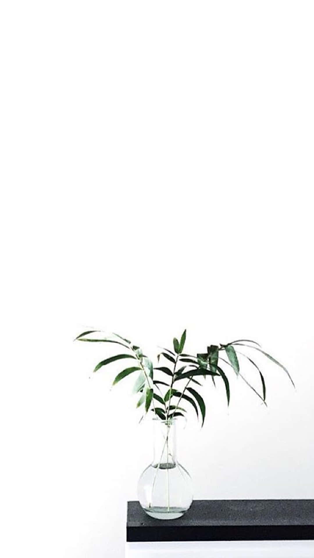 Image High Wallpaper
