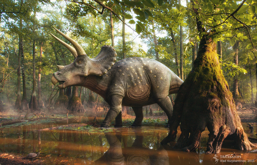 Triceratops In The Forest By Swordlord3d