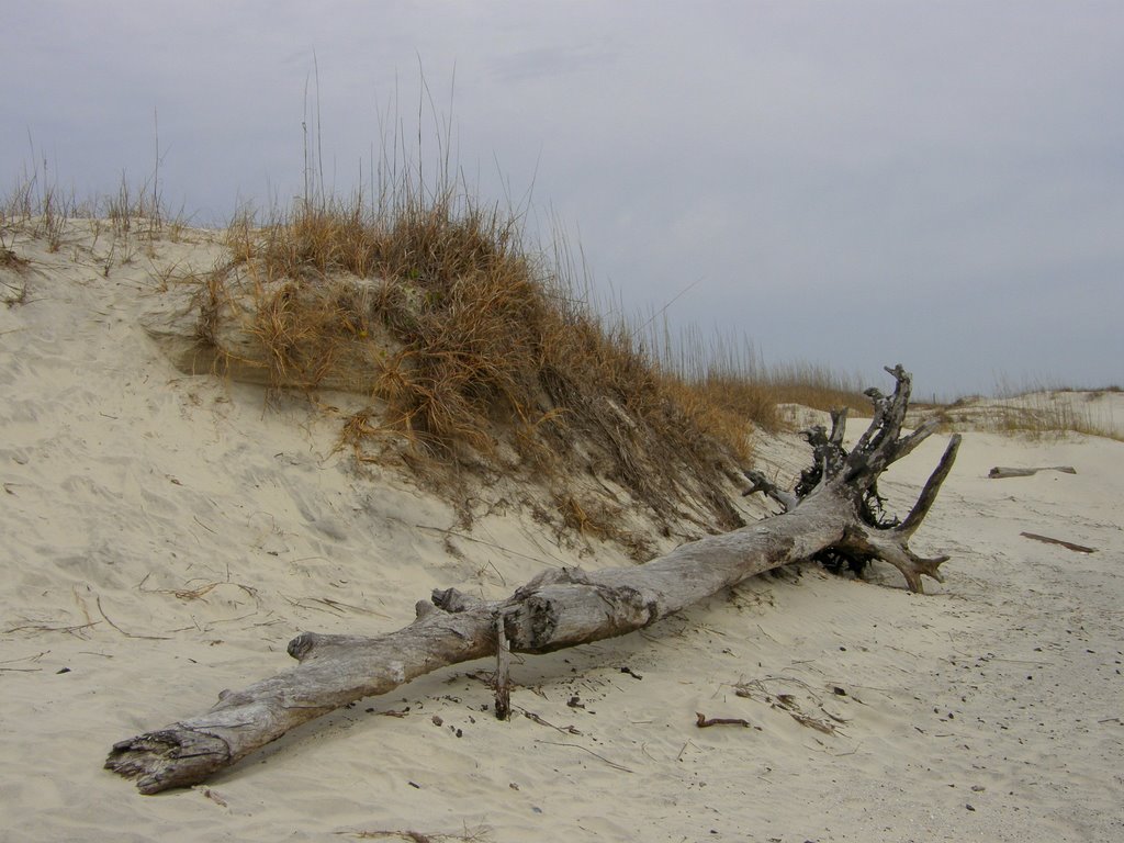 Best Tybee Island Wallpaper Beautiful