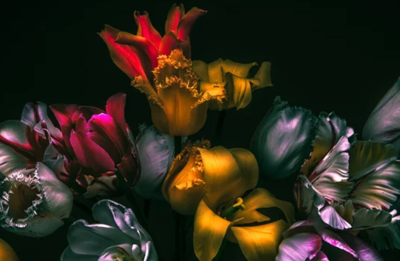 Dark Color Wallpaper