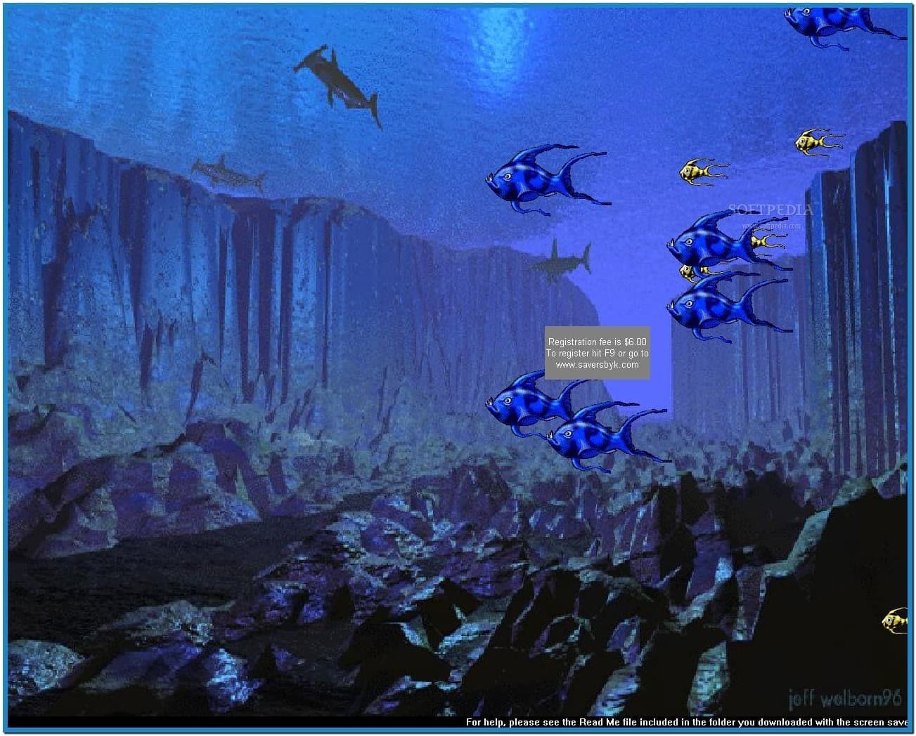 Fish Swimming In Water Screensaver