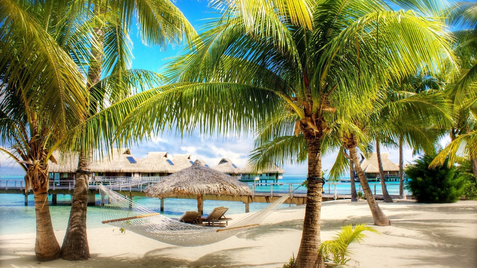 Tropical Beach Paradise Wallpaper HD Desktop