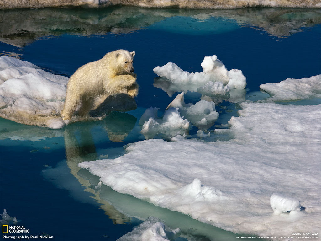 Unique Wallpaper Most Famous National Geographic HD