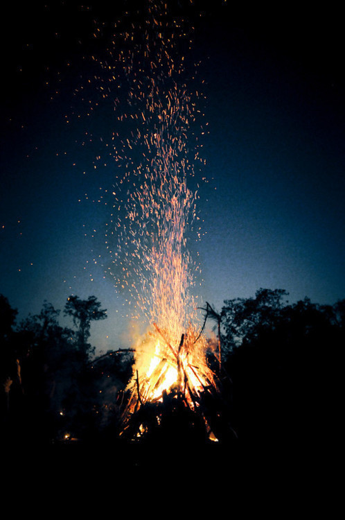 Love Photography Hipster Trees Indie Dream Fire Night
