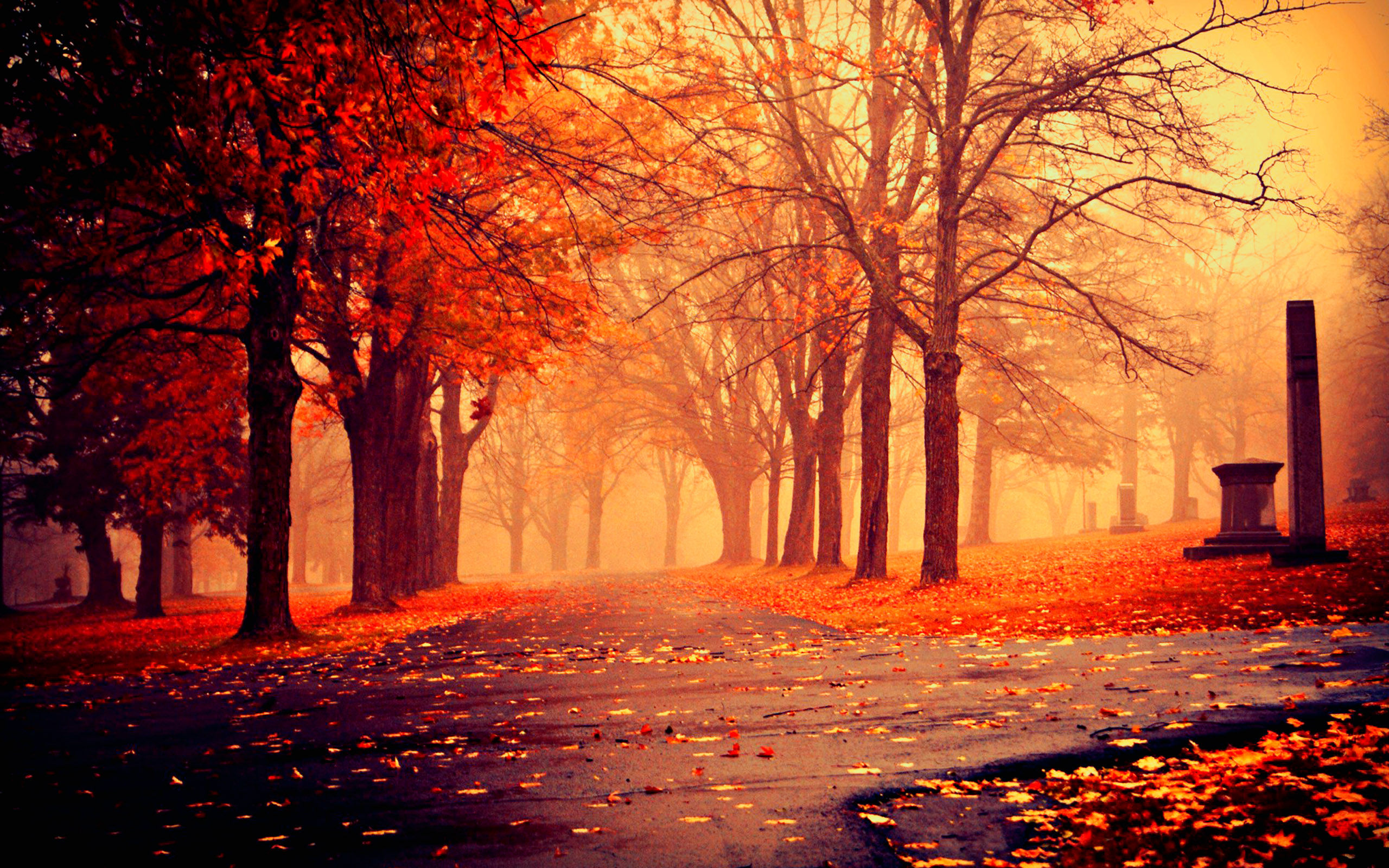 Autumn Nature Wallpaper HD Pictures One