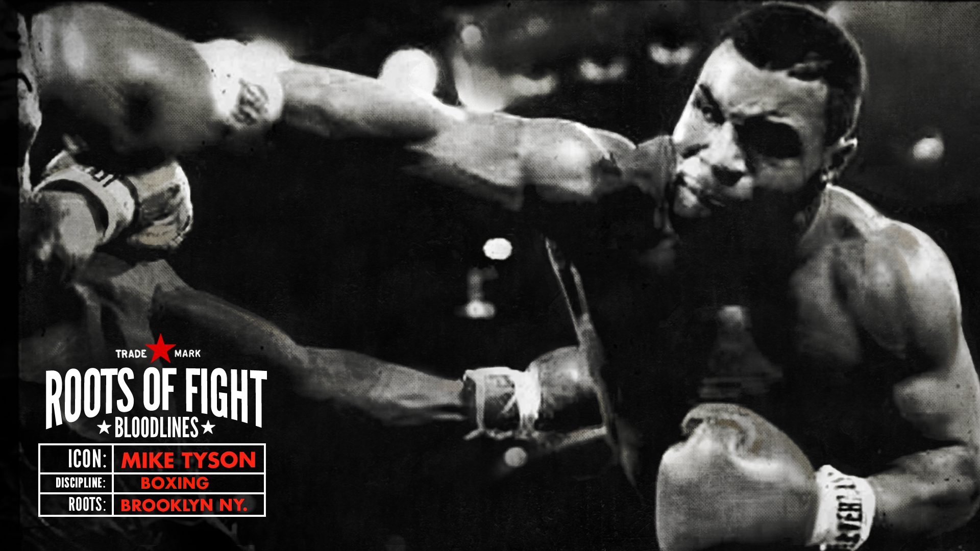 Iron Mike Tyson Wallpaper And Image Pictures Photos