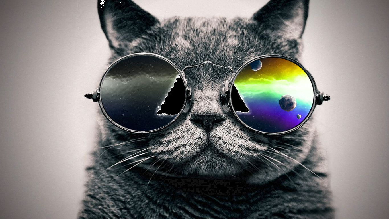 Pin Cat With Goggles HD Wallpaper