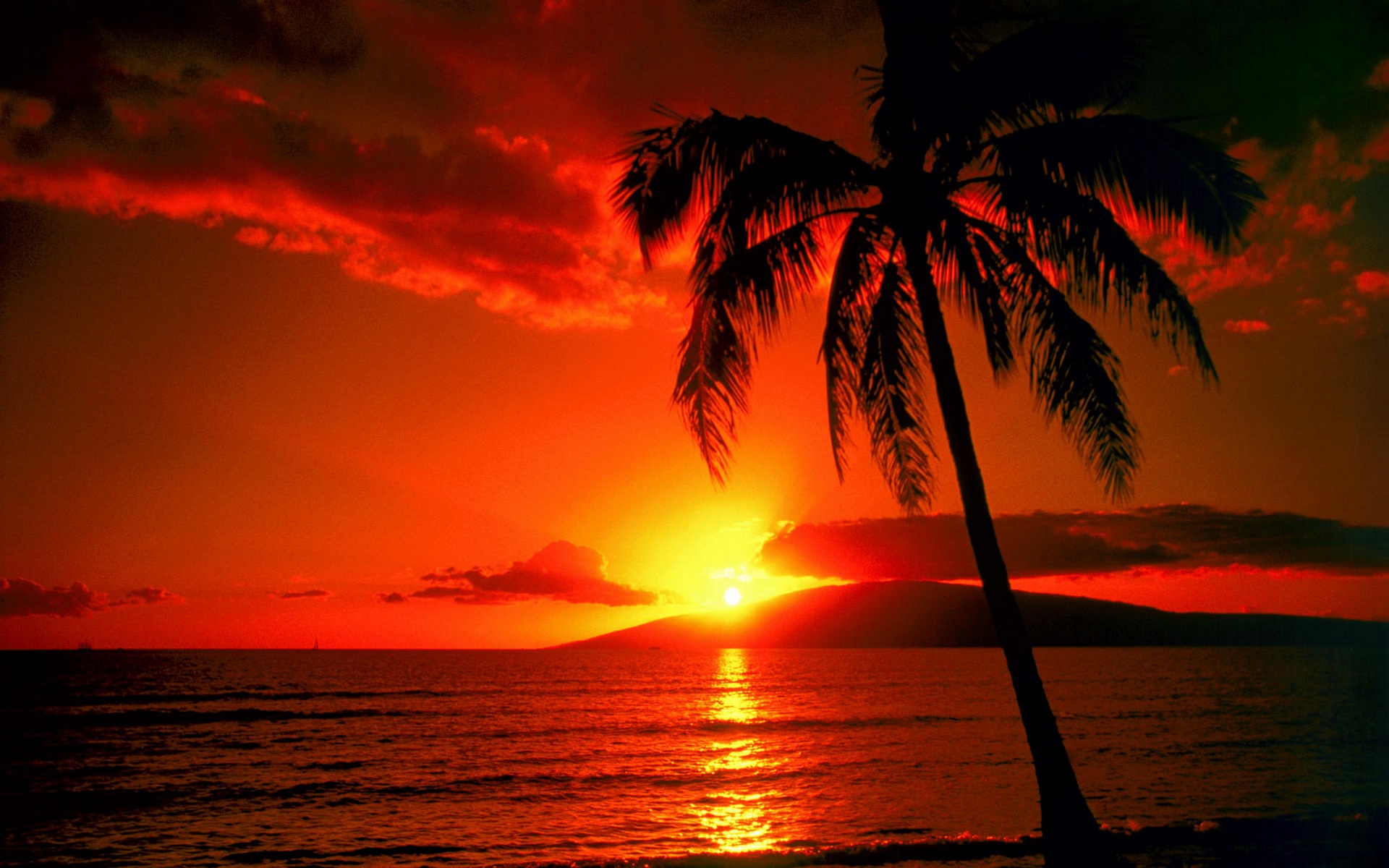Sunset Beach HD Wallpaper Desktop Image