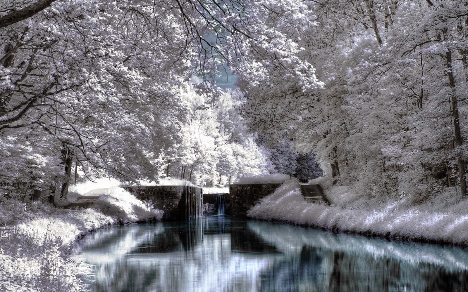 Beautiful Winter Scenery Wallpaper And Pictures