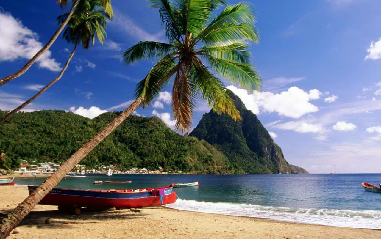 Caribbean Beach Wallpaper