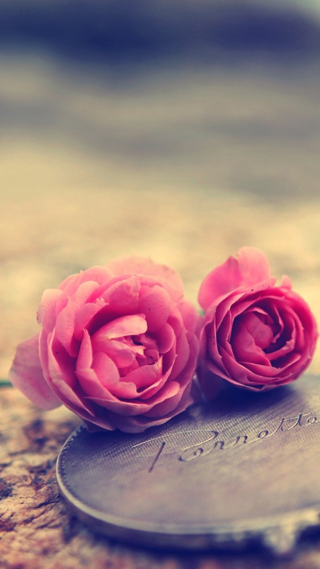 Miniature Roses iPhone 5s Wallpaper Best