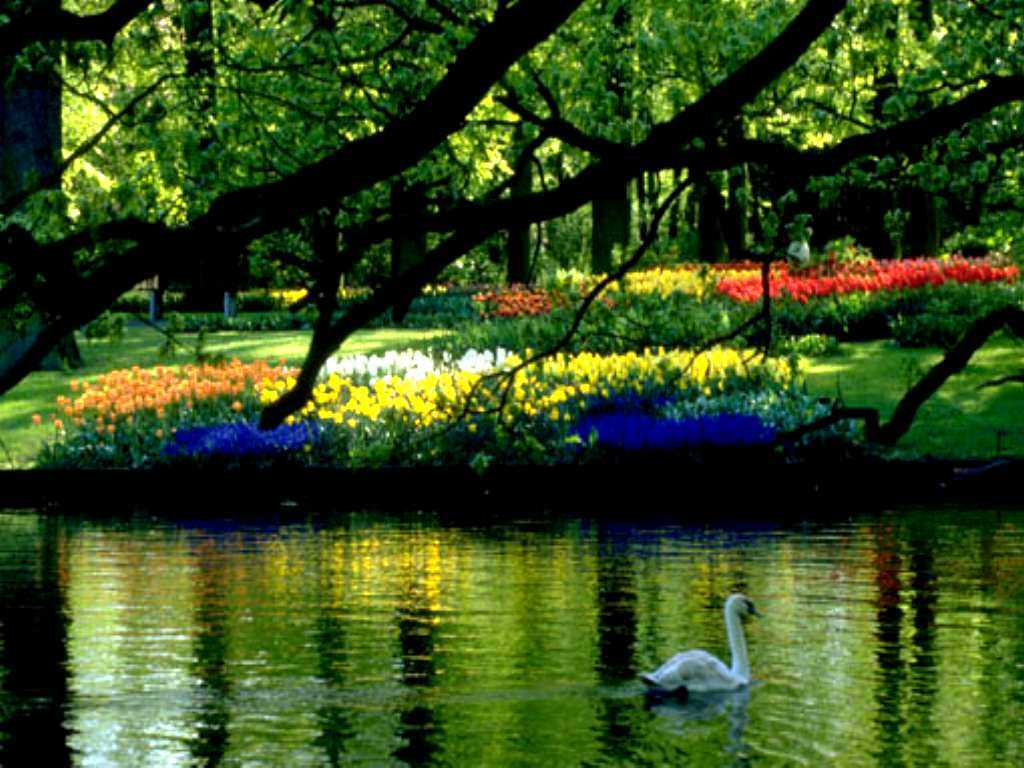 Beautiful Spring Scenery Wallpapers WallpaperSafari