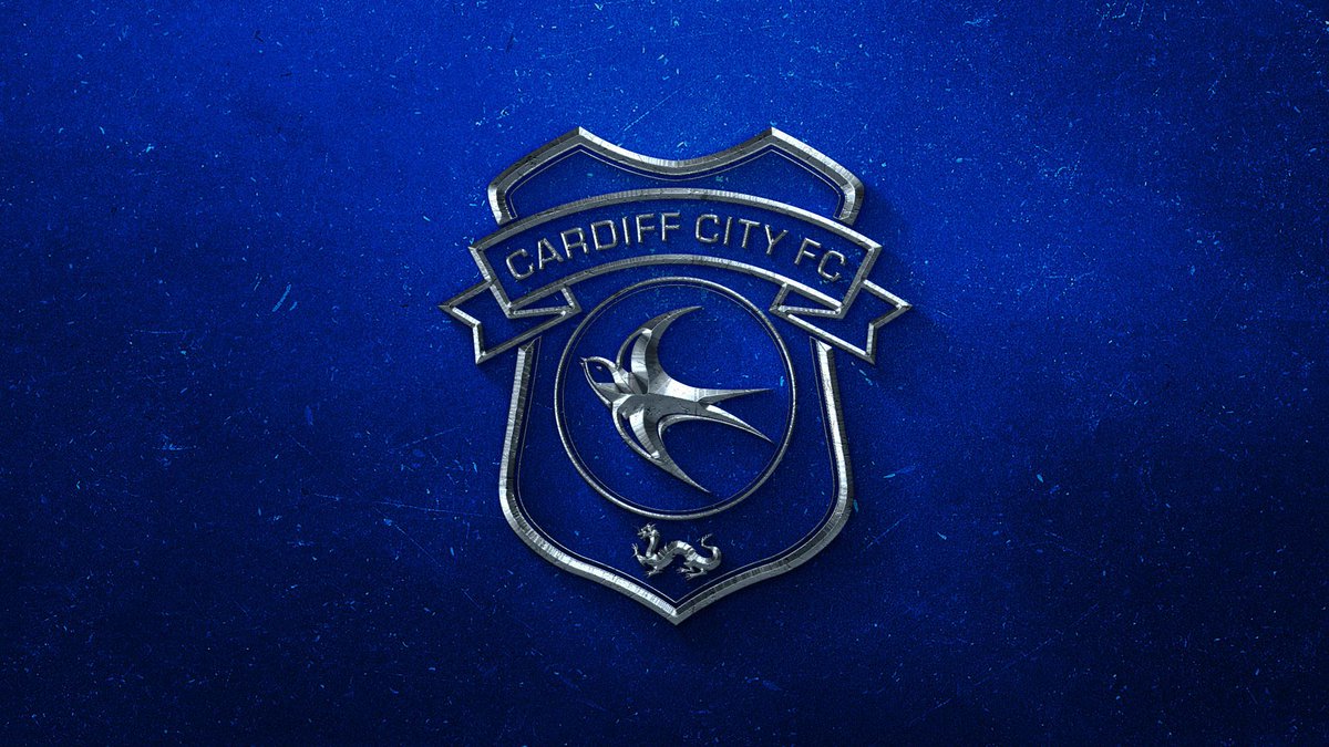 Cardiff City Fc On Another Day