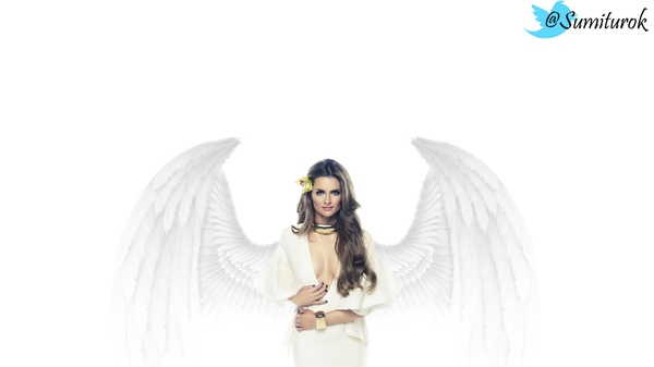 Wings Stana Katic Angels Wallpaper Desktop