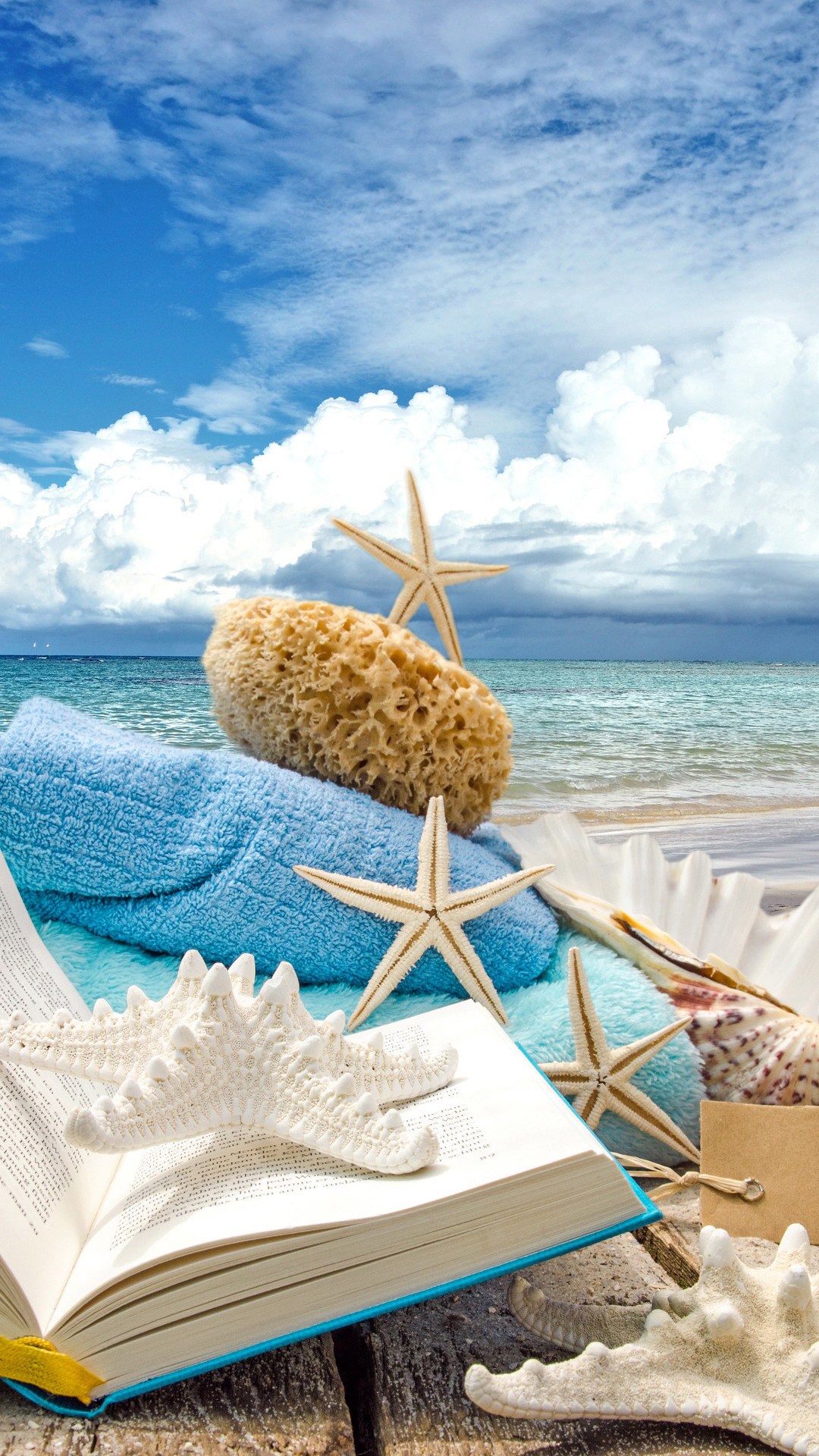 Summer Beach Book Seashells Sea Stars iPhone Plus HD Wallpaper