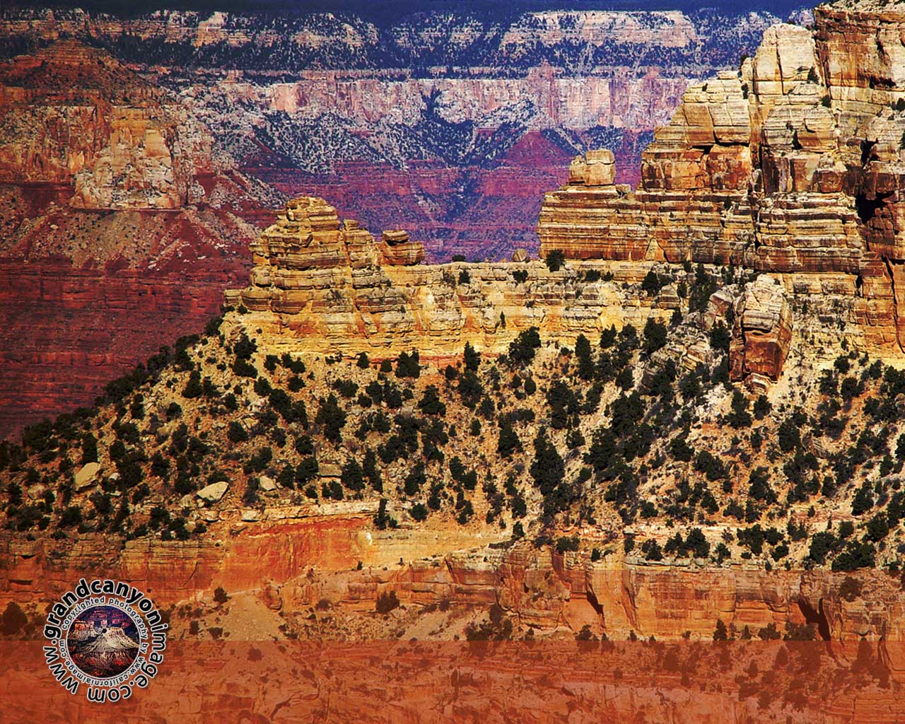 Grand Canyon Arizona Photo Screensaver