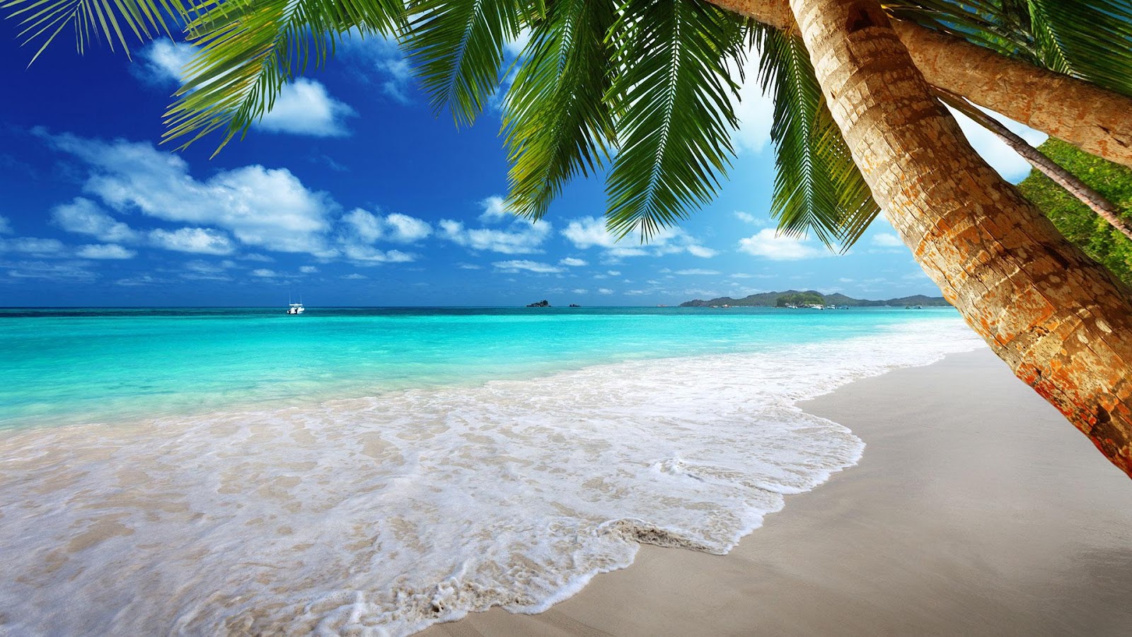 47 Live Animated Beach Wallpaper Wallpapersafari