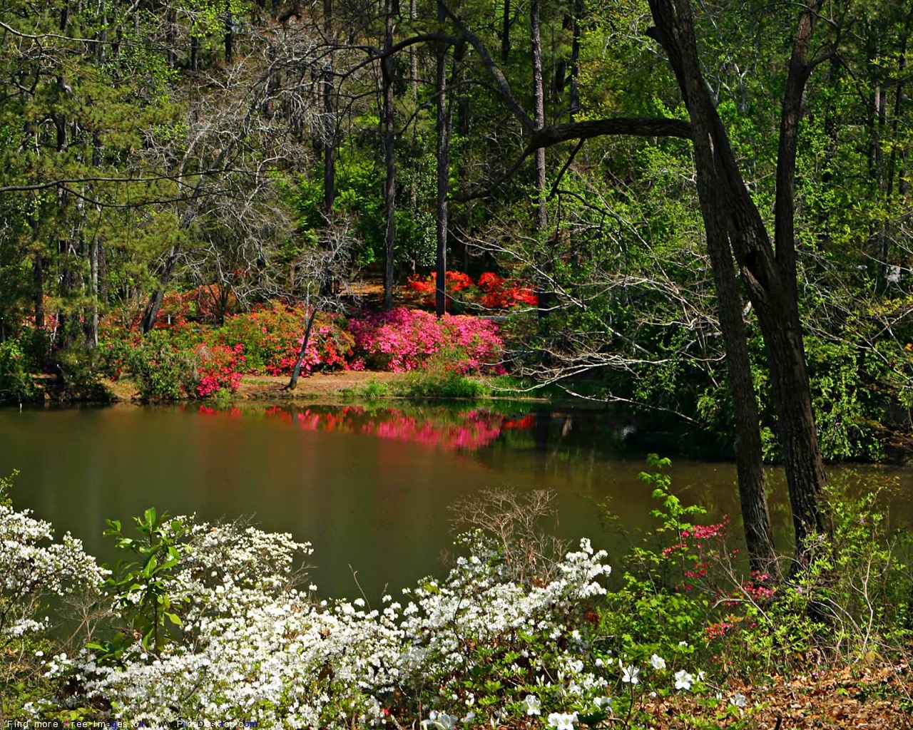 Nature Springtime Free Desktop Wallpapers for PC amp Mac