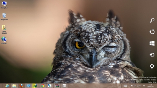 Owl Desktop Theme Windows Pc Android iPhone And iPad Wallpaper