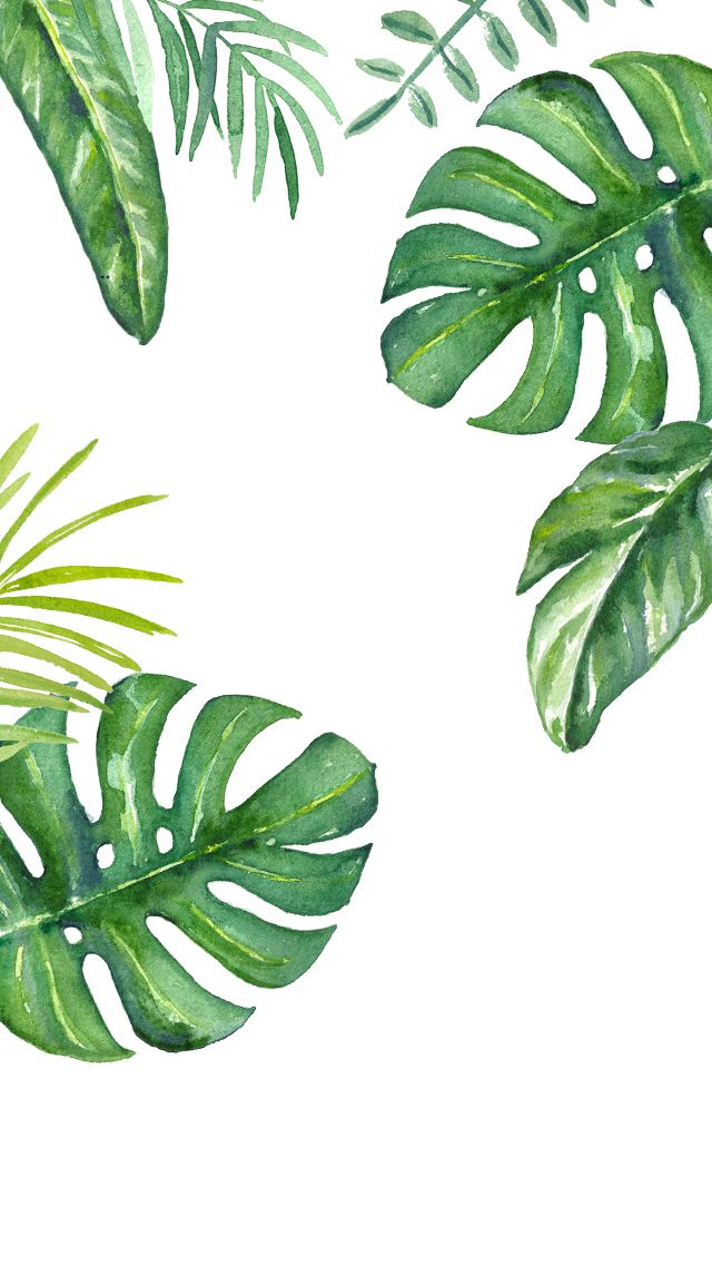 Plants Watercolour iPhone Wallpaper Plant