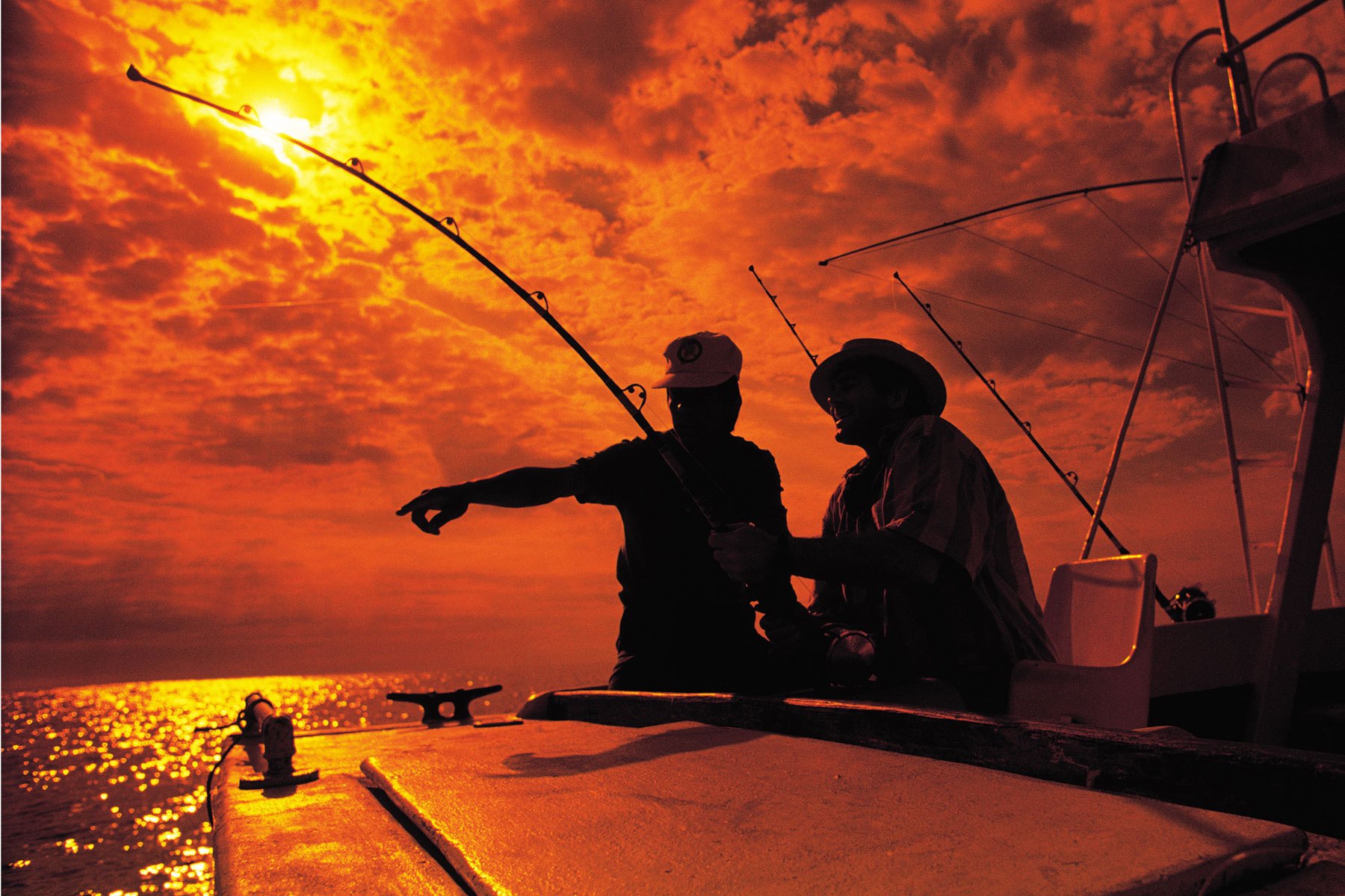 Fishing Fish Sport Sports Wallpaper Background