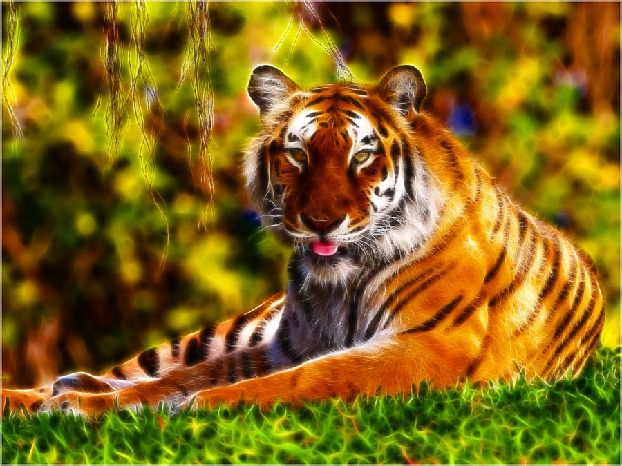 Related Pictures Art Tiger Wallpaper 1080p Cool X HD