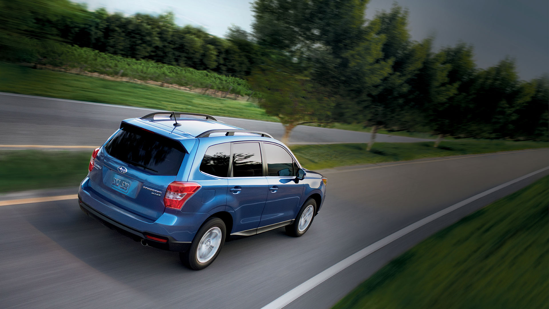 Subaru Forester Wallpaper Tree Lined Road Drive