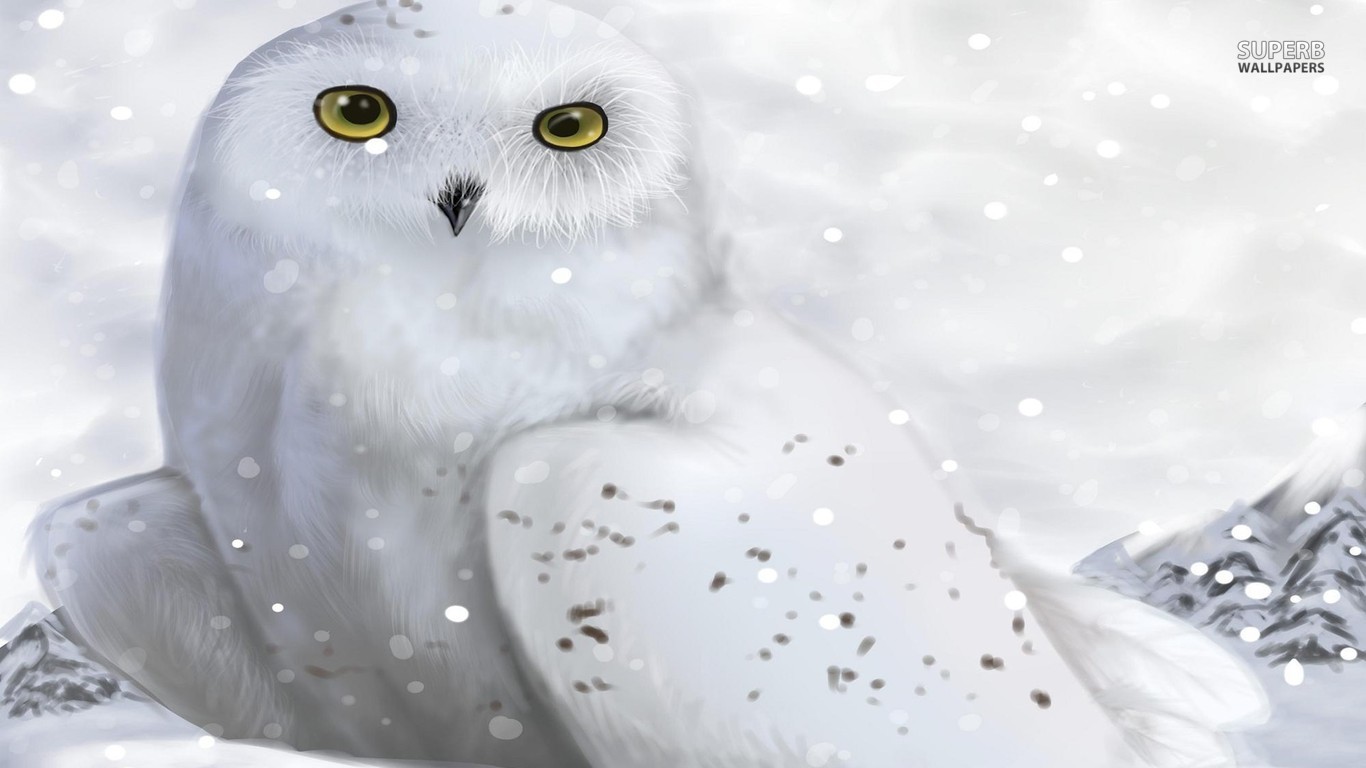 White Owl Wallpaper Artistic