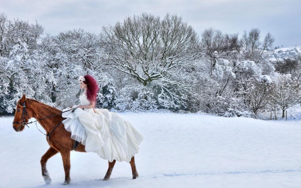 На коне в снегу. Лошади в снегу. Девушка на лошади зимой. Девушка на коне зимой. Девушка на лошади снег.