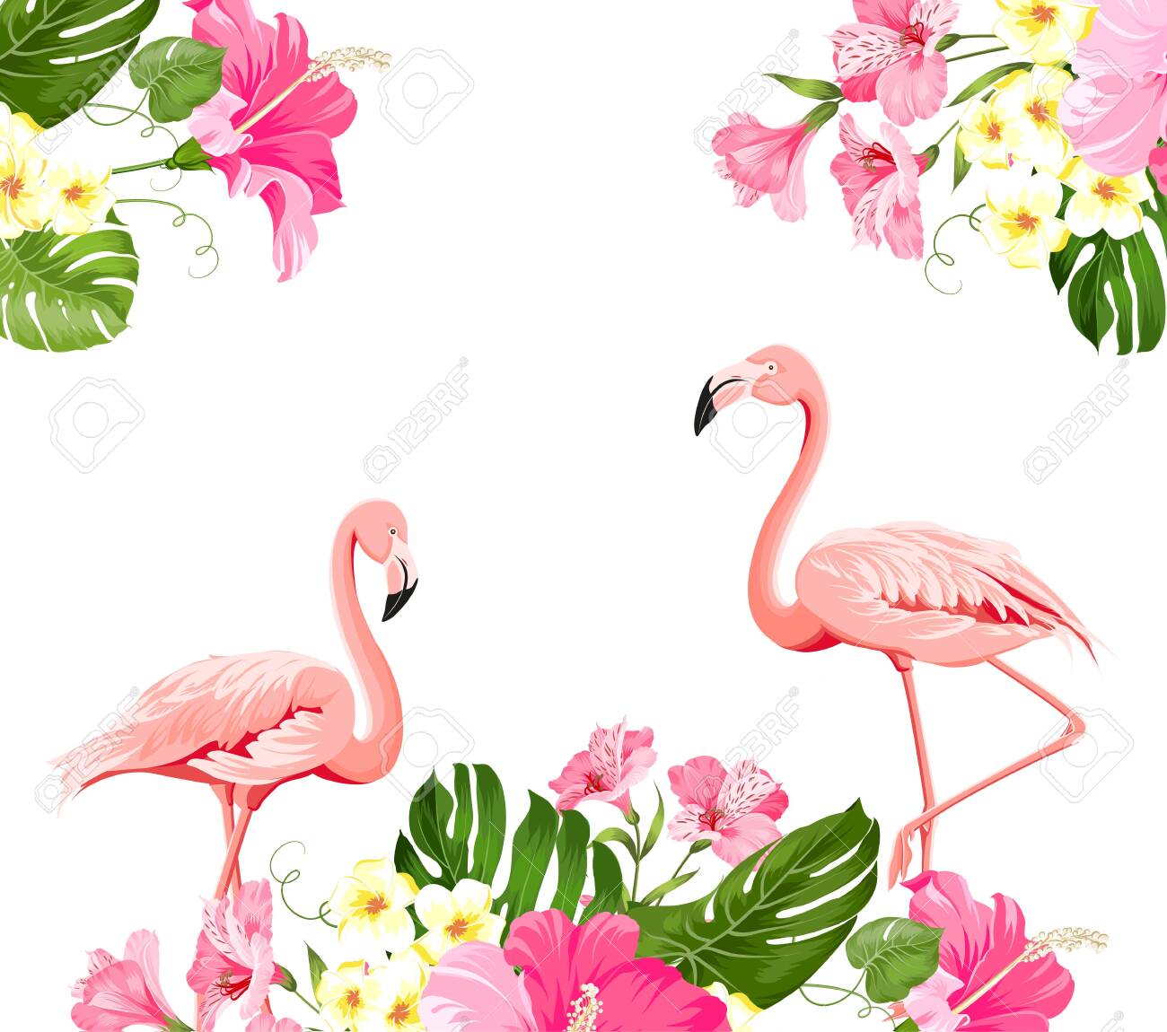 Flamingo Background Design Tropical Flowers Illustration Fashion