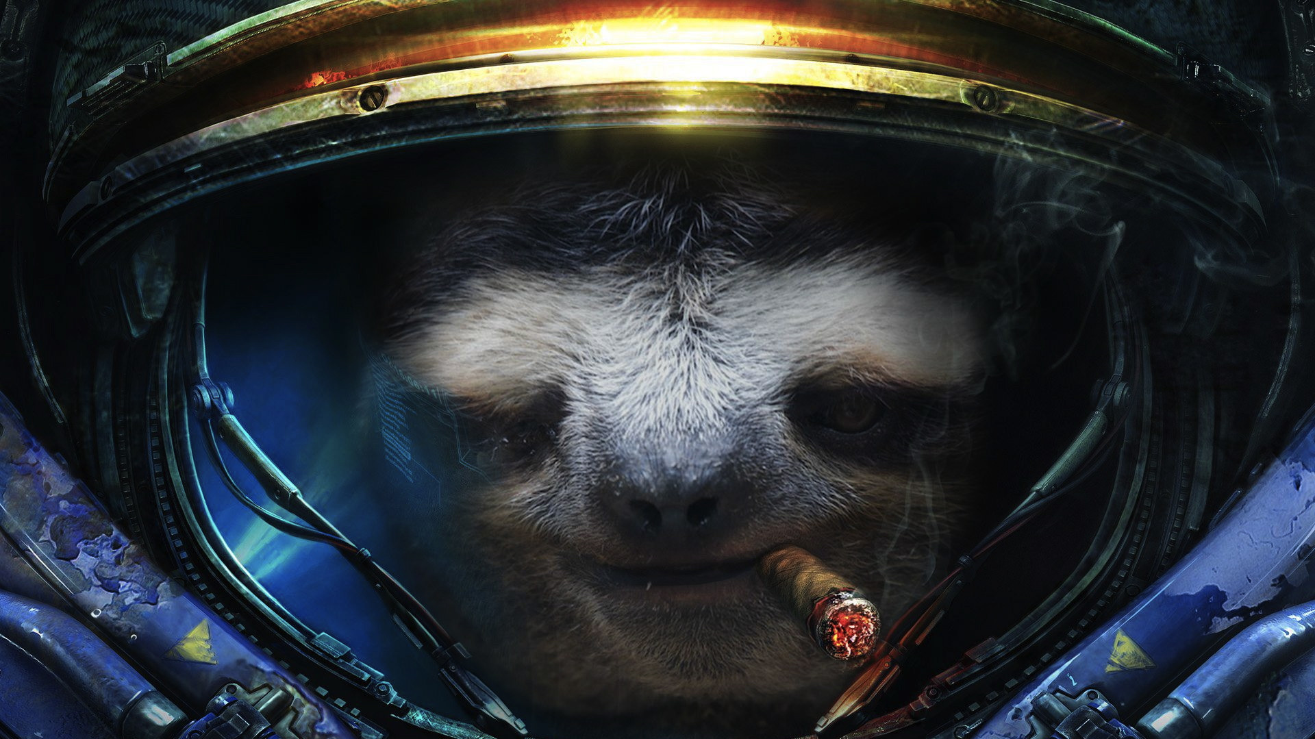 Starcraft Sloth X Post From R Wallpaperdump