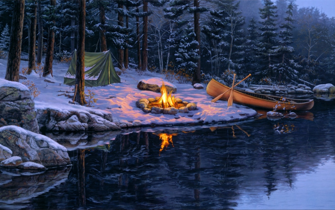 Campfire Winter Forest Lake Wallpaper