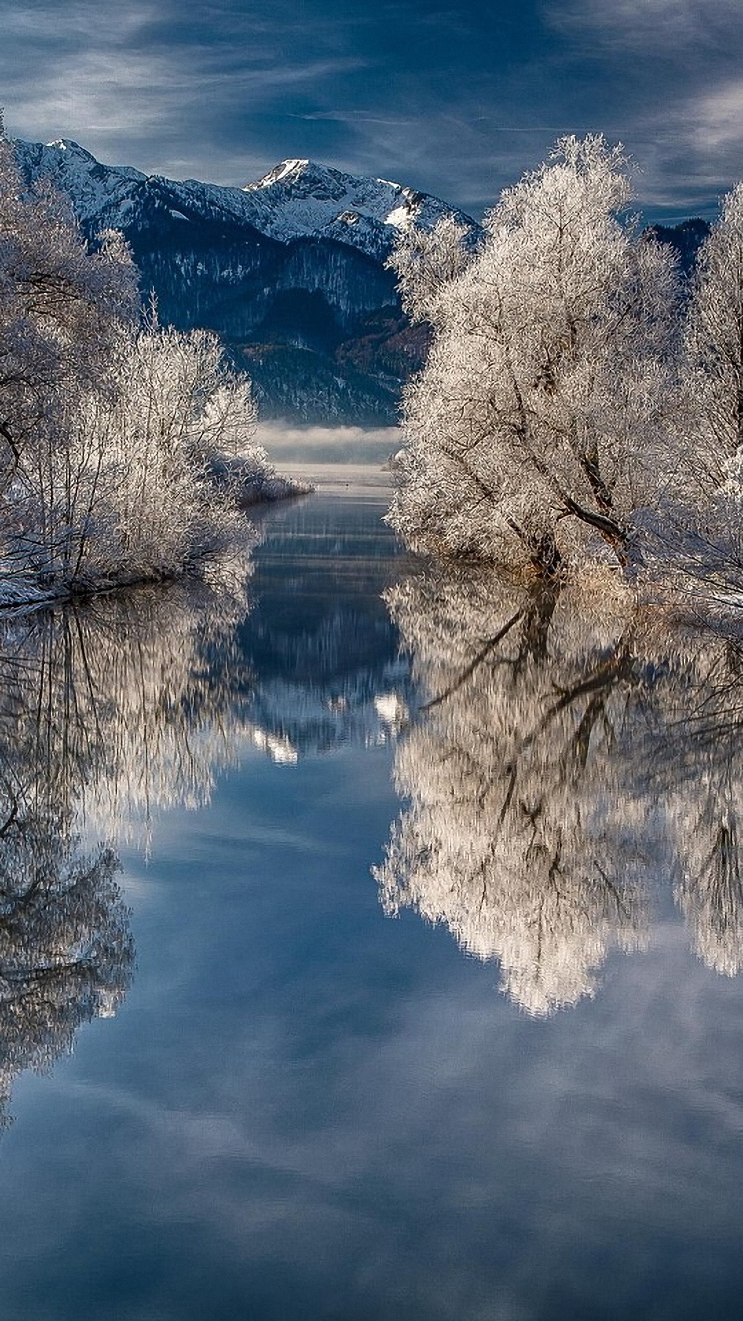 Snow Tree Reflection Wallpaper For Samsung Galaxy