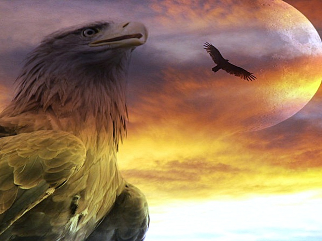 Eagle Wallpaper Background