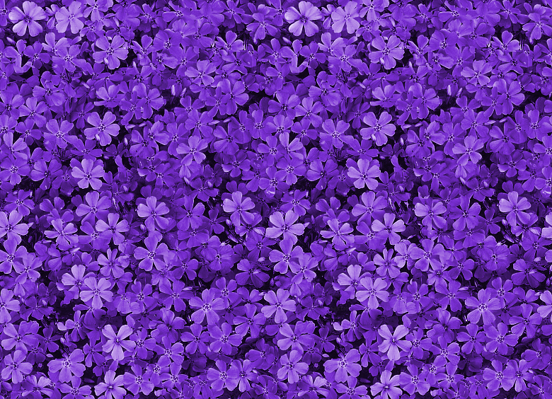 Pretty Purple Background - WallpaperSafari
