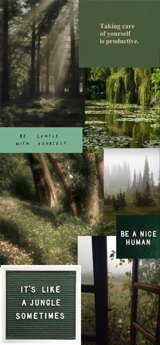 Forest Collage Wallpaper Be A Nice Human Gentle