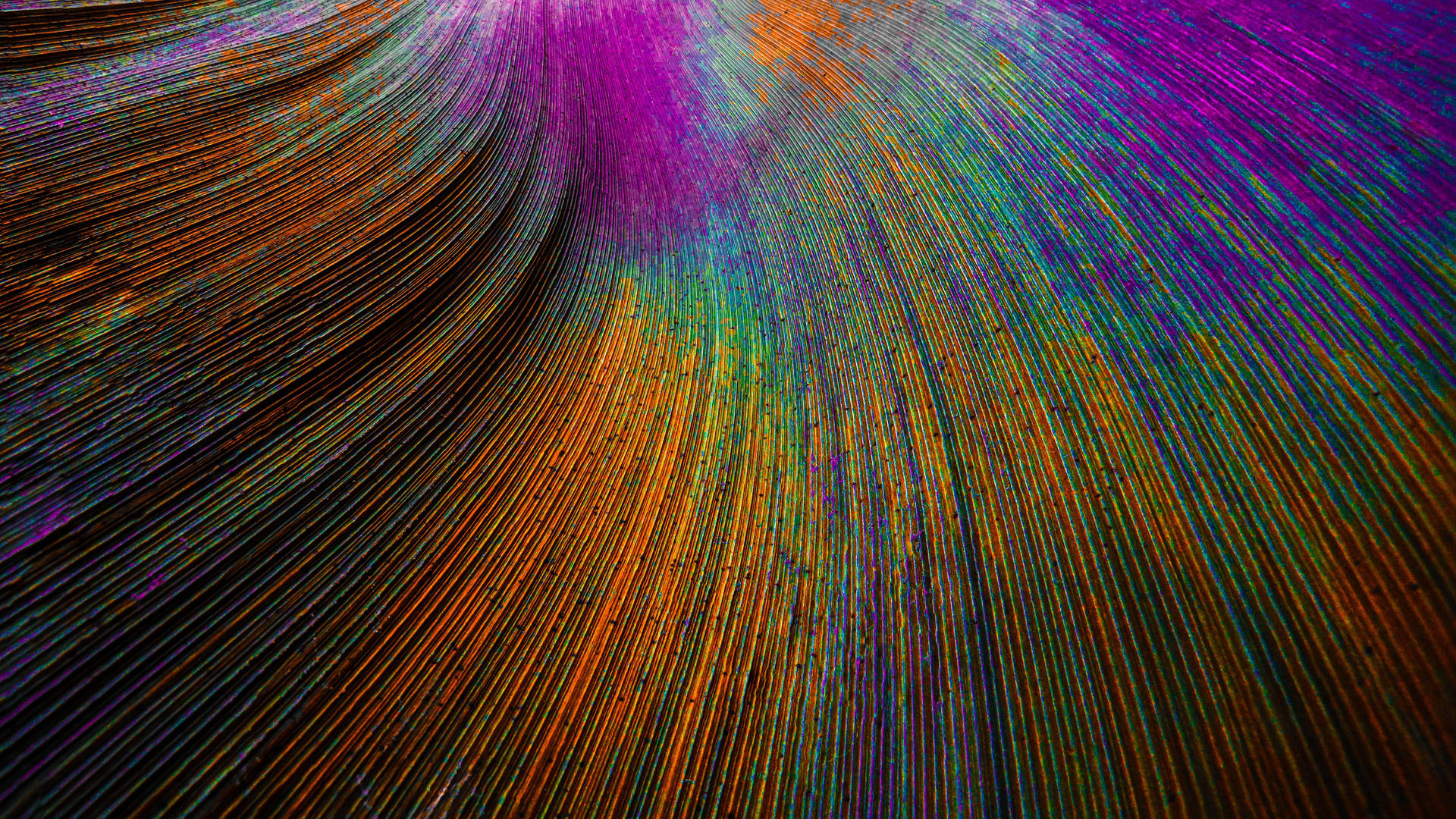 4d Ultra HD Wallpaper