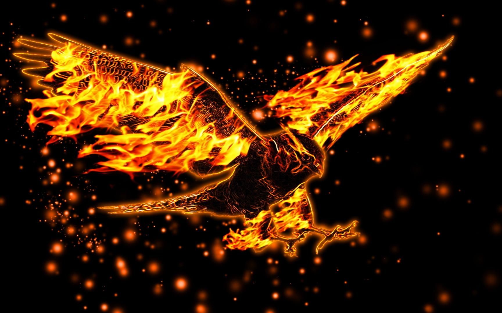 Awesome Blazing Eagle Wallpaper Angel Artistic